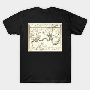 Corvus, Noctua, Hydra Constellations - Alexander Jamieson T-Shirt